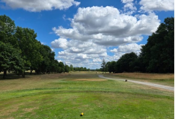 We begin with the yellow ball comp