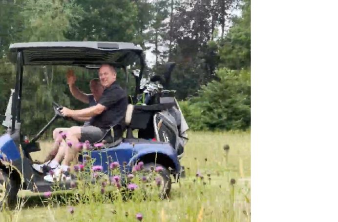 Red and Blue together in a buggy