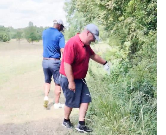 Searching for the yellow ball