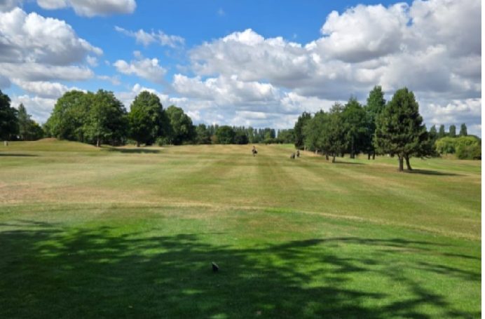 Golf with friends. Living the dream