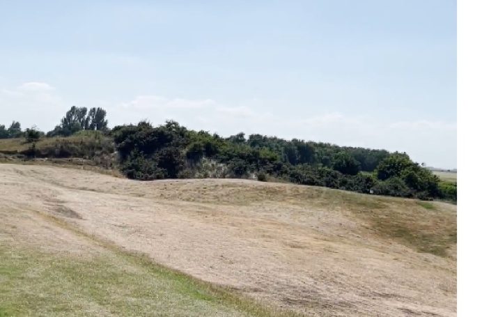 Sunny, breezy and dry