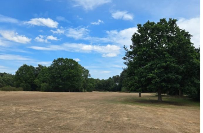 Par 5, can I reach in 2?