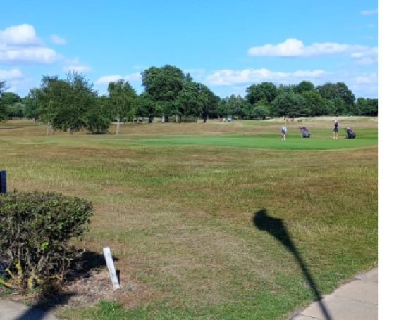 A great day to play golf