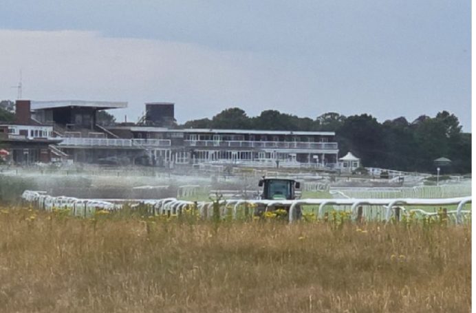 Hopefully I don't shank it right