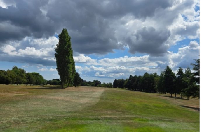 Virgin fairway. Need to stay left