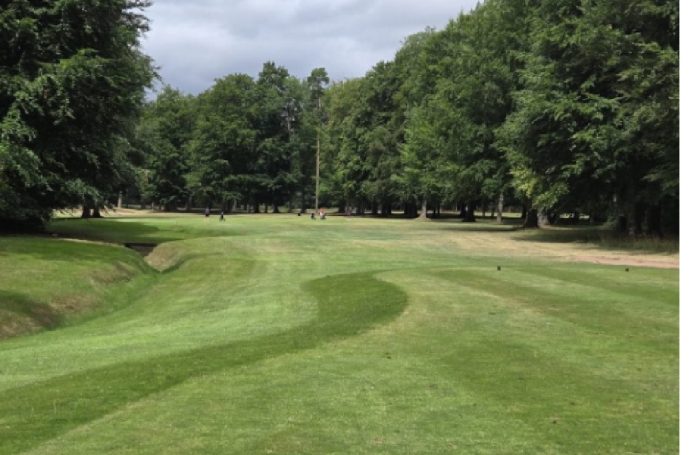 Nice hole requiring a draw off the tee