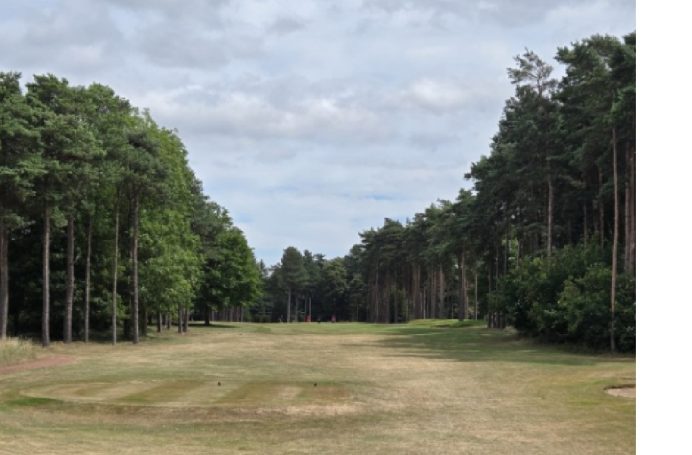 Time to grip it and rip it