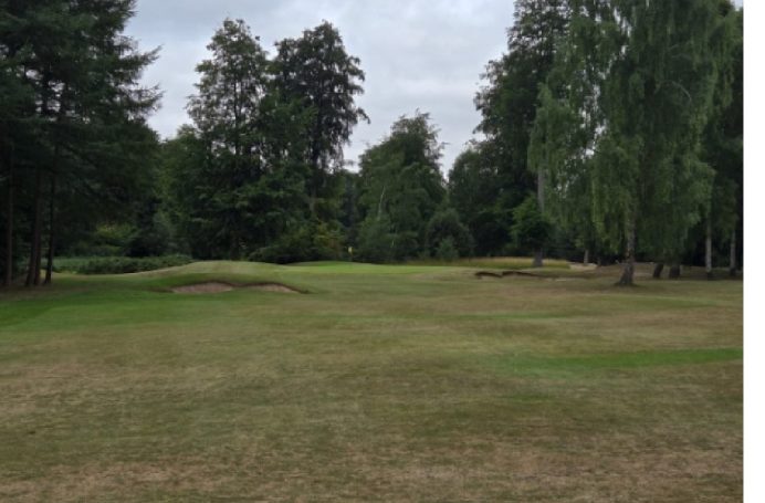 Let's knock it close for birdie